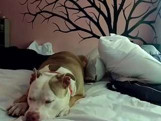 1800fu Drinking live webcam