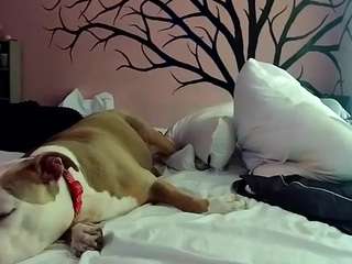 1800fu Tattoos live webcam