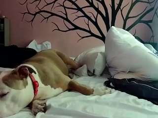 1800fu Blonde live webcam