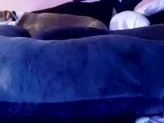 1800fu live cam profile