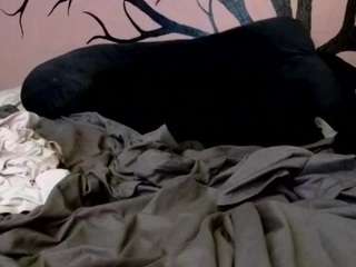 1800fu Profile Image