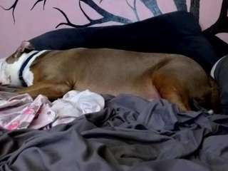 1800fu Profile Image