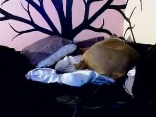 1800fu Live Webcam on CamSoda