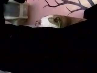 1800fu