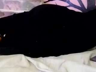 1800fu