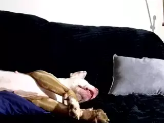 1800fu's Live Sex Cam Show
