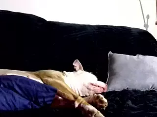 1800fu's Live Sex Cam Show