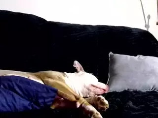 1800fu's Live Sex Cam Show