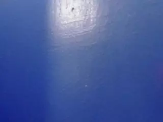 1800fu's Live Sex Cam Show