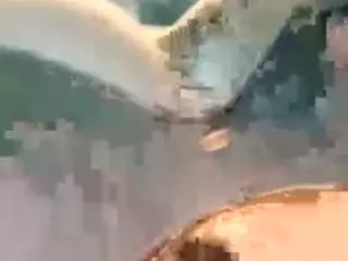 baabybunny's Live Sex Cam Show