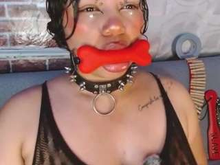 pamelaevanns live cam profile