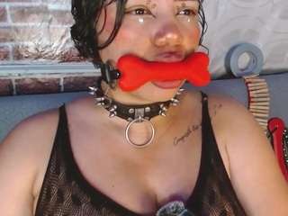 pamelaevanns live cam profile