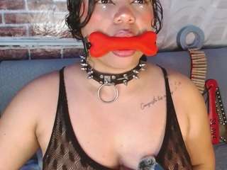 pamelaevanns webcam