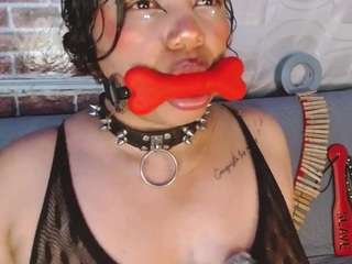 pamelaevanns