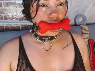 pamelaevanns