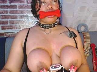 pamelaevanns live webcam show