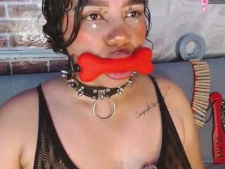 pamelaevanns live webcam show