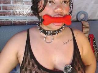 pamelaevanns