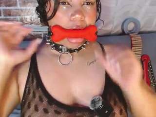 pamelaevanns
