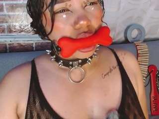 pamelaevanns
