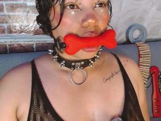 pamelaevanns