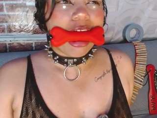 pamelaevanns