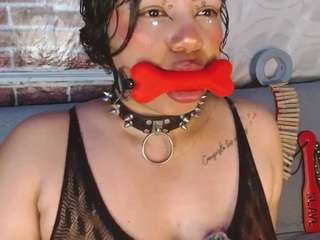 pamelaevanns