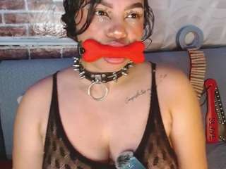 pamelaevanns