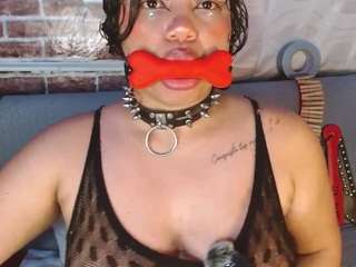 pamelaevanns