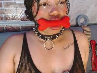 pamelaevanns