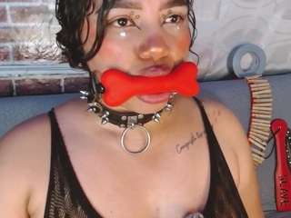 pamelaevanns