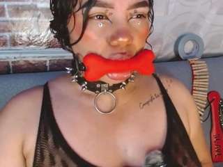 pamelaevanns