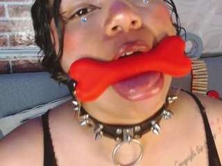 pamelaevanns