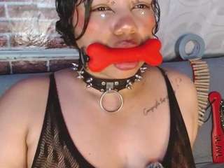 pamelaevanns