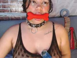 pamelaevanns