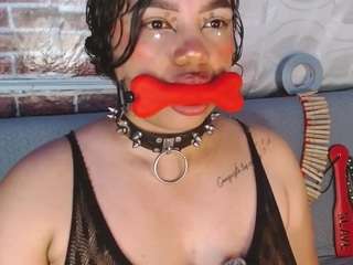pamelaevanns