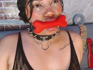 pamelaevanns