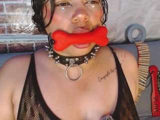 pamelaevanns