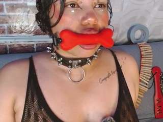 pamelaevanns