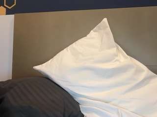 seanmichaels Sex Cam Show