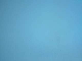 harmony-big-breasts camsoda