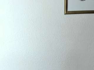 Sarah live webcam show