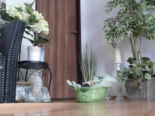 squirtmania