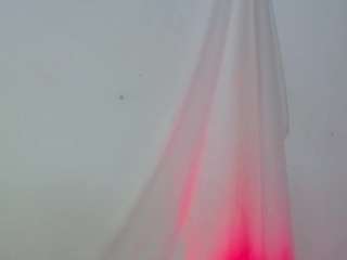 carolinne webcam