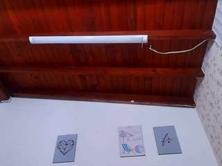 paolamss