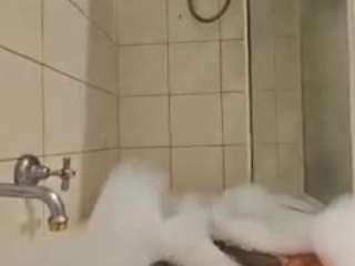 browncockortwo webcam