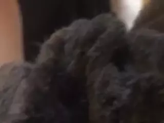 emila99's Live Sex Cam Show