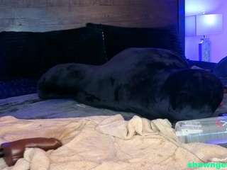Shawn-geni's cam show statistics and live stream