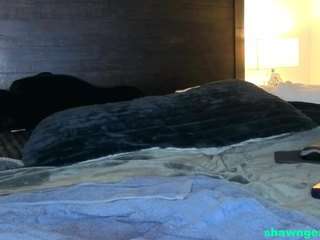 shawn-geni Sex Cam Show