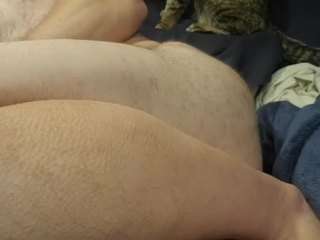 bigbearpnp420